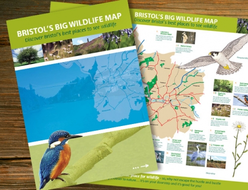 Bristol City Council: Bristol’s Big Wildlife Project